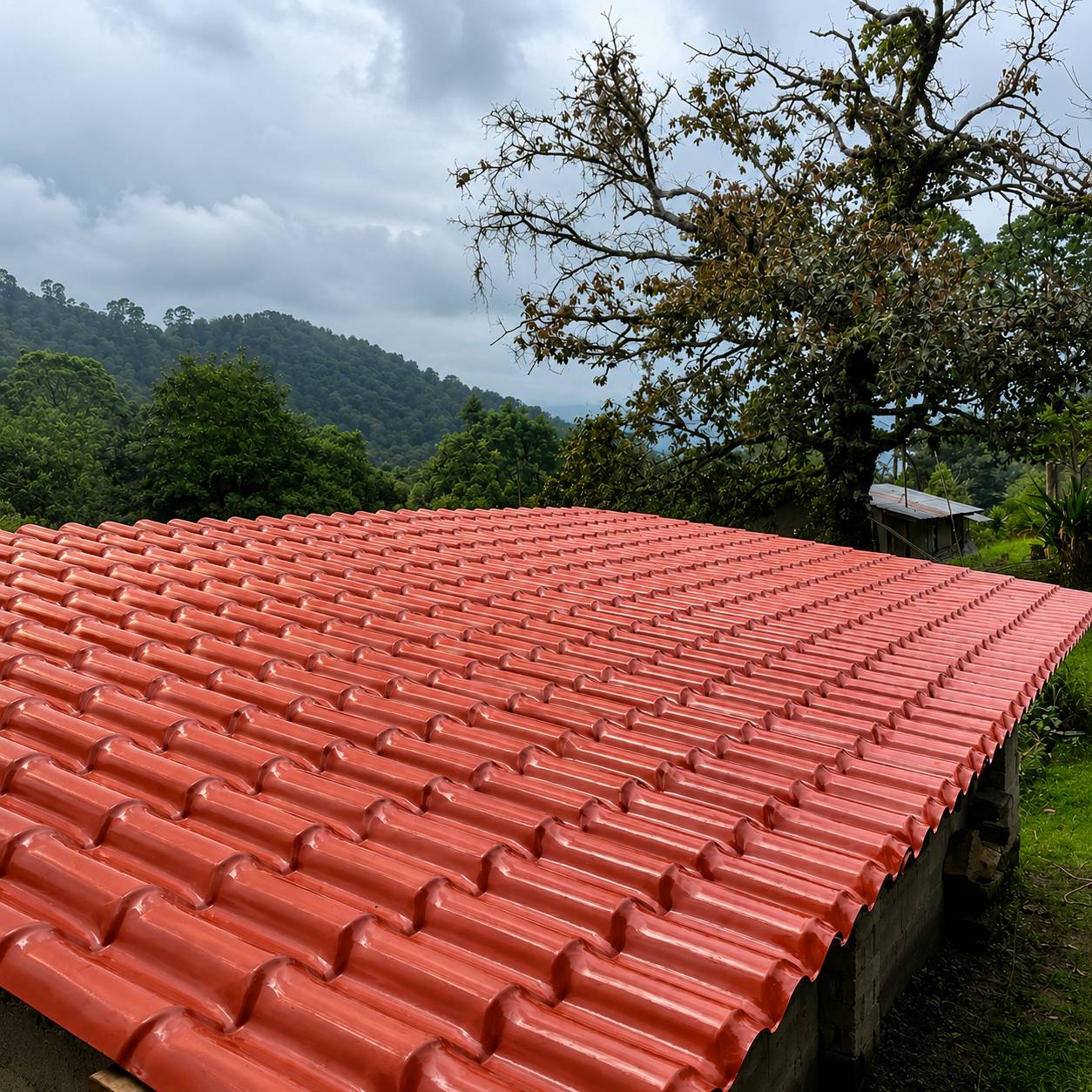 Teja Roja Teket